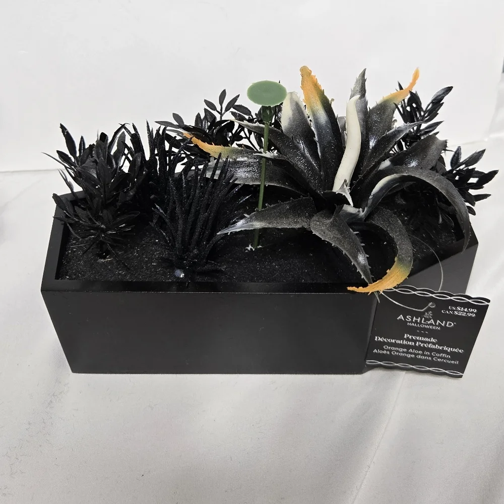 NEW Ashland Halloween premade goth succlents and flowers in black coffin‎ decor